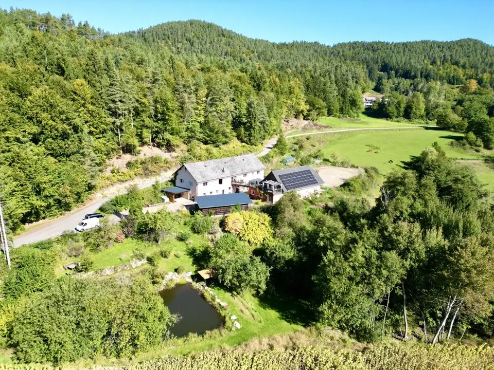 Absolute Ruhelage im Keutschacher Seental – Bauernhaus mit Pferdehof & 3 ha Grund – Bild 27
