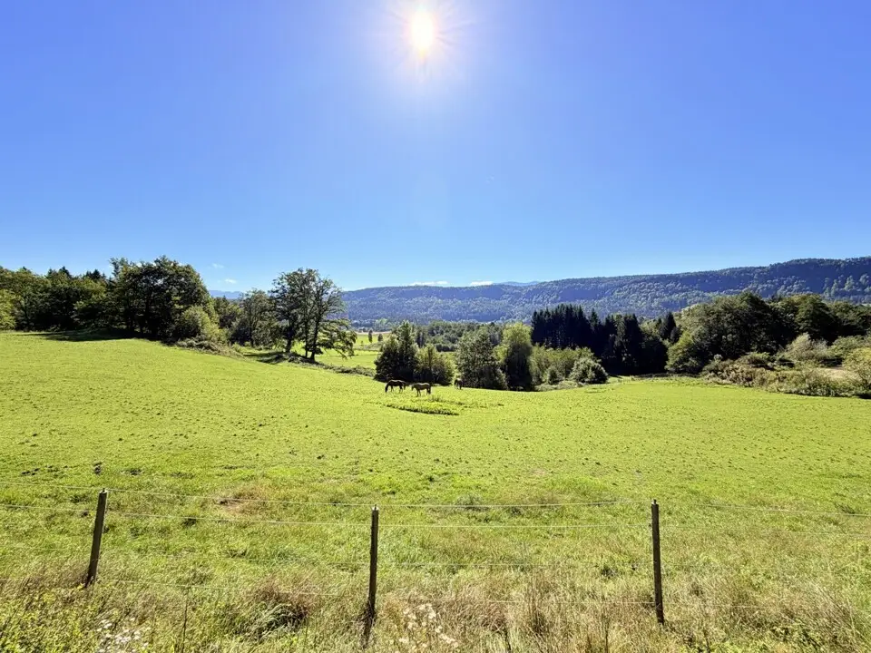 Absolute Ruhelage im Keutschacher Seental – Bauernhaus mit Pferdehof & 3 ha Grund – Bild 2