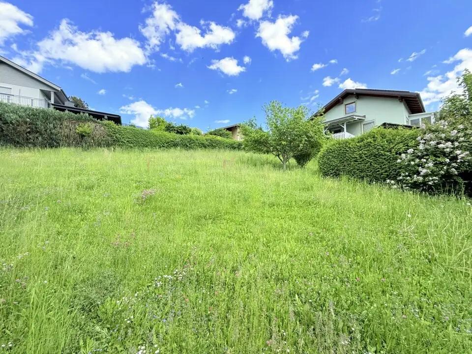Sonniges Grundstück inklusive Gartenhütte – Bild 5