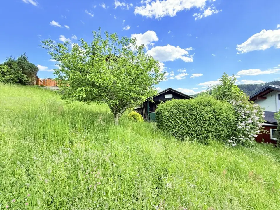 Sonniges Grundstück inklusive Gartenhütte – Bild 2
