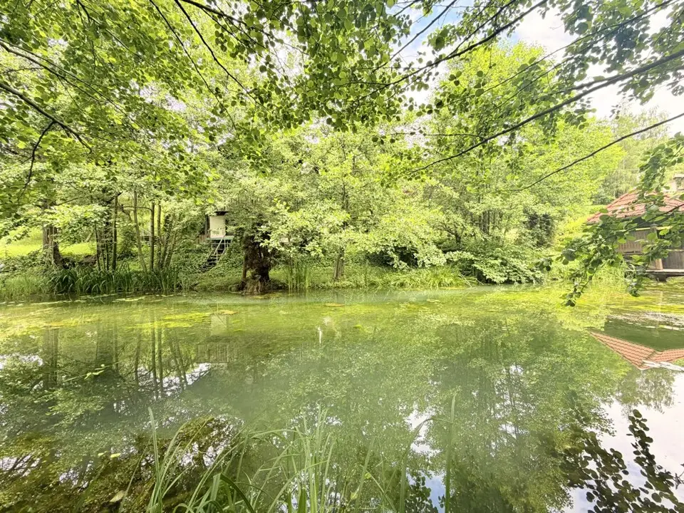 Ferienhaus mit weitläufigem Grundstück, Schwimmteich und natürlichem Wasserlauf – Bild 5