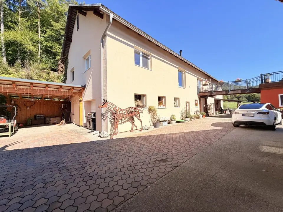 Absolute Ruhelage im Keutschacher Seental – Bauernhaus mit Pferdehof & 3 ha Grund – Bild 5