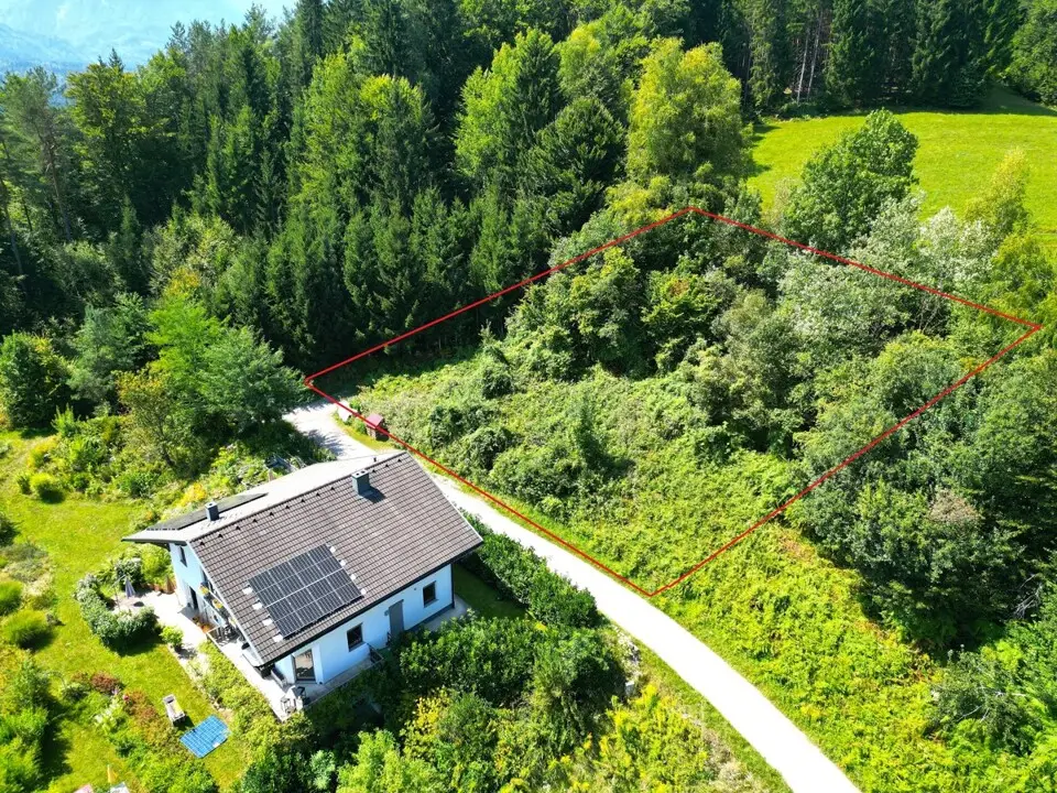 Traumhaftes Grundstück mit Drau und Karawankenblick in der Gemeinde Ludmannsdorf – Bild 4