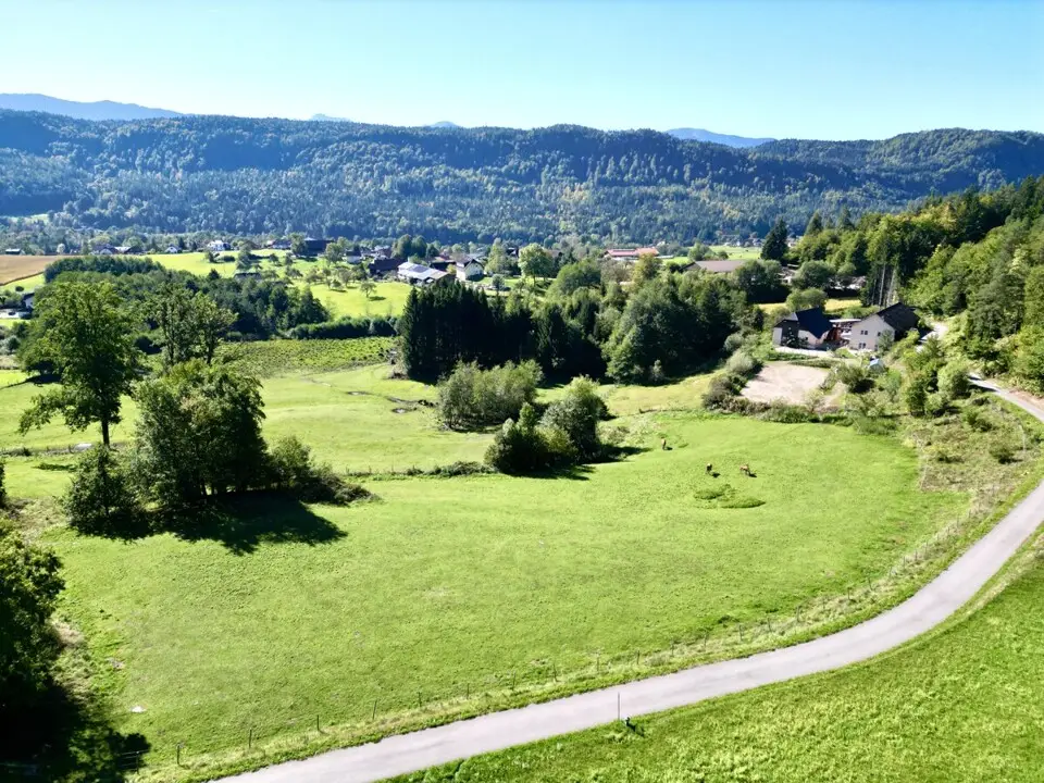 Absolute Ruhelage im Keutschacher Seental – Bauernhaus mit Pferdehof & 3 ha Grund – Bild 28