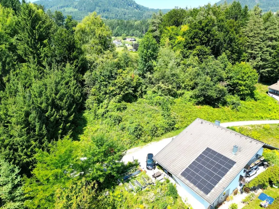 Traumhaftes Grundstück mit Drau und Karawankenblick in der Gemeinde Ludmannsdorf – Bild 3