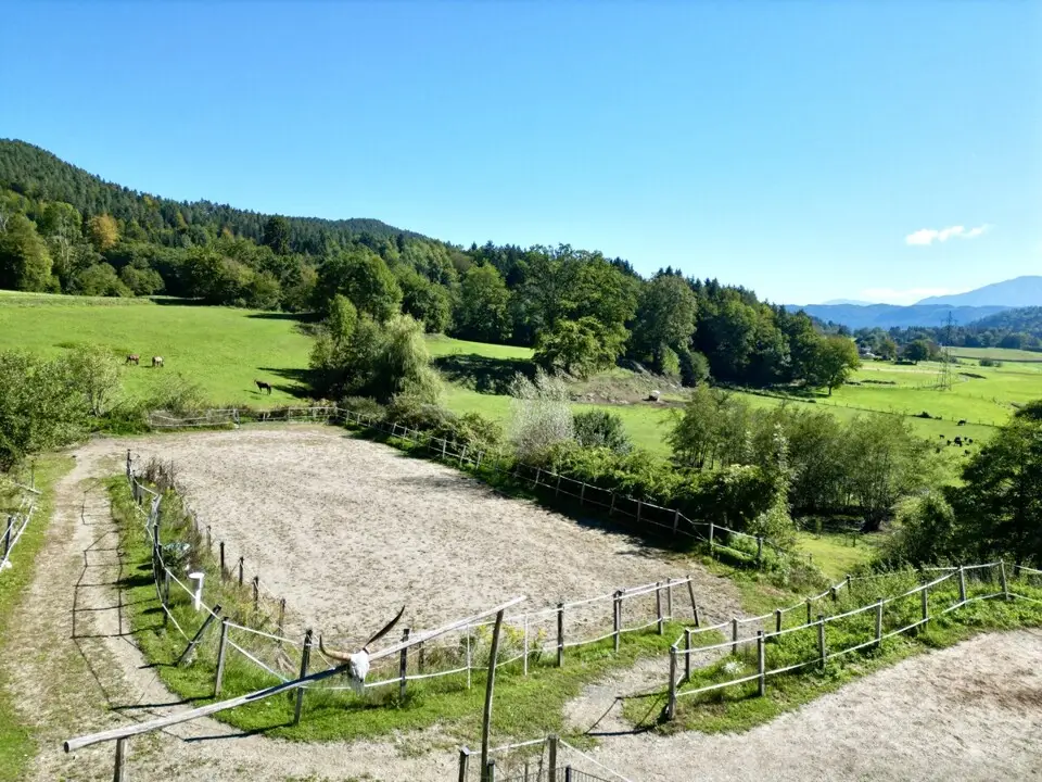 Absolute Ruhelage im Keutschacher Seental – Bauernhaus mit Pferdehof & 3 ha Grund – Bild 26