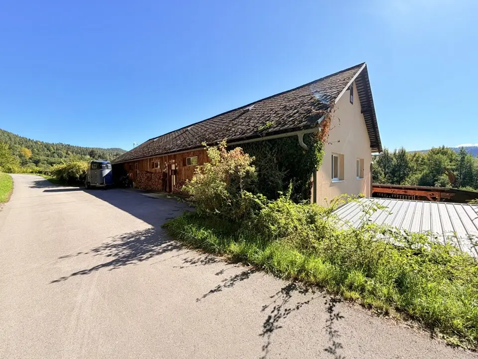 Absolute Ruhelage im Keutschacher Seental – Bauernhaus mit Pferdehof & 3 ha Grund – Bild 4