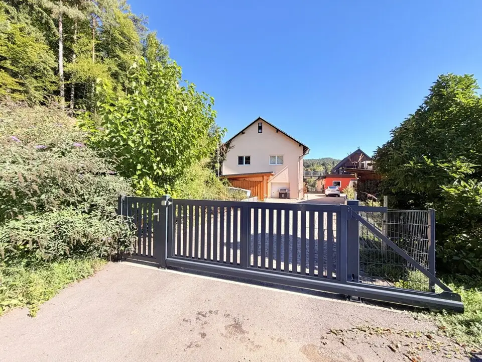 Absolute Ruhelage im Keutschacher Seental – Bauernhaus mit Pferdehof & 3 ha Grund – Bild 3