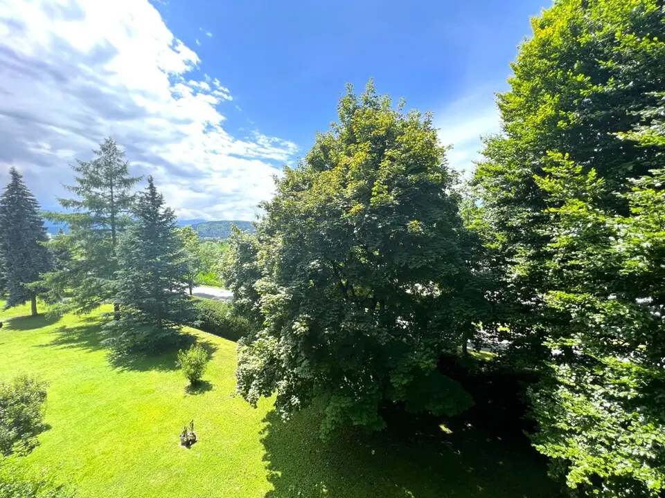 Ausblick
