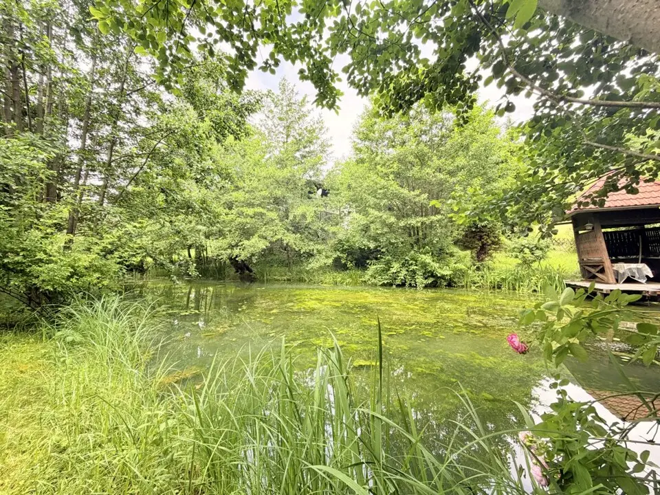 Ferienhaus mit weitläufigem Grundstück, Schwimmteich und natürlichem Wasserlauf – Bild 4