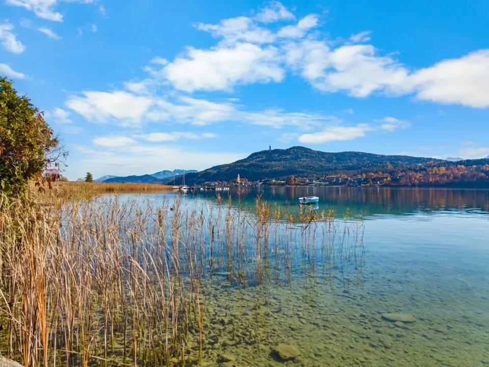 Modernes 1-Zimmer-Apartment nahe Wörthersee – Toplage mit Koralmbahn-Anschluss – Bild 12