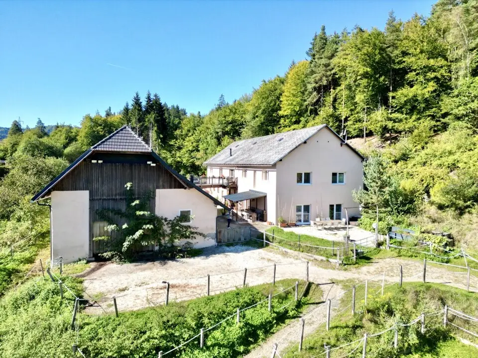 Absolute Ruhelage im Keutschacher Seental – Bauernhaus mit Pferdehof & 3 ha Grund – Bild 25